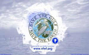 Save the Gulf National Fish and Wildlife Foundation Wallpaper